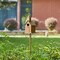 Set of 2 53.00''H Farmhouse Faux Copper Distressed Metal Church Outdoor Decorative Garden Birdhouse with Stake